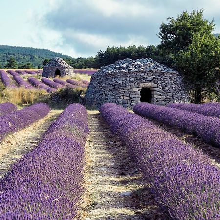 Le Cabanon Des Lavandes Entre Mont Ventoux Et Luberon Sault Eksteriør billede